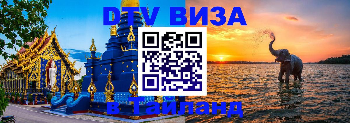 Сколько стоит DTV виза — актуальные цены, оформление даже без документов - Бийск  19.11.2025 